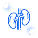 Icons_Nephrology